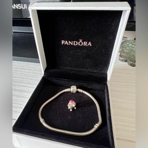Silver Pandora Bracelet with bonus puppy charm